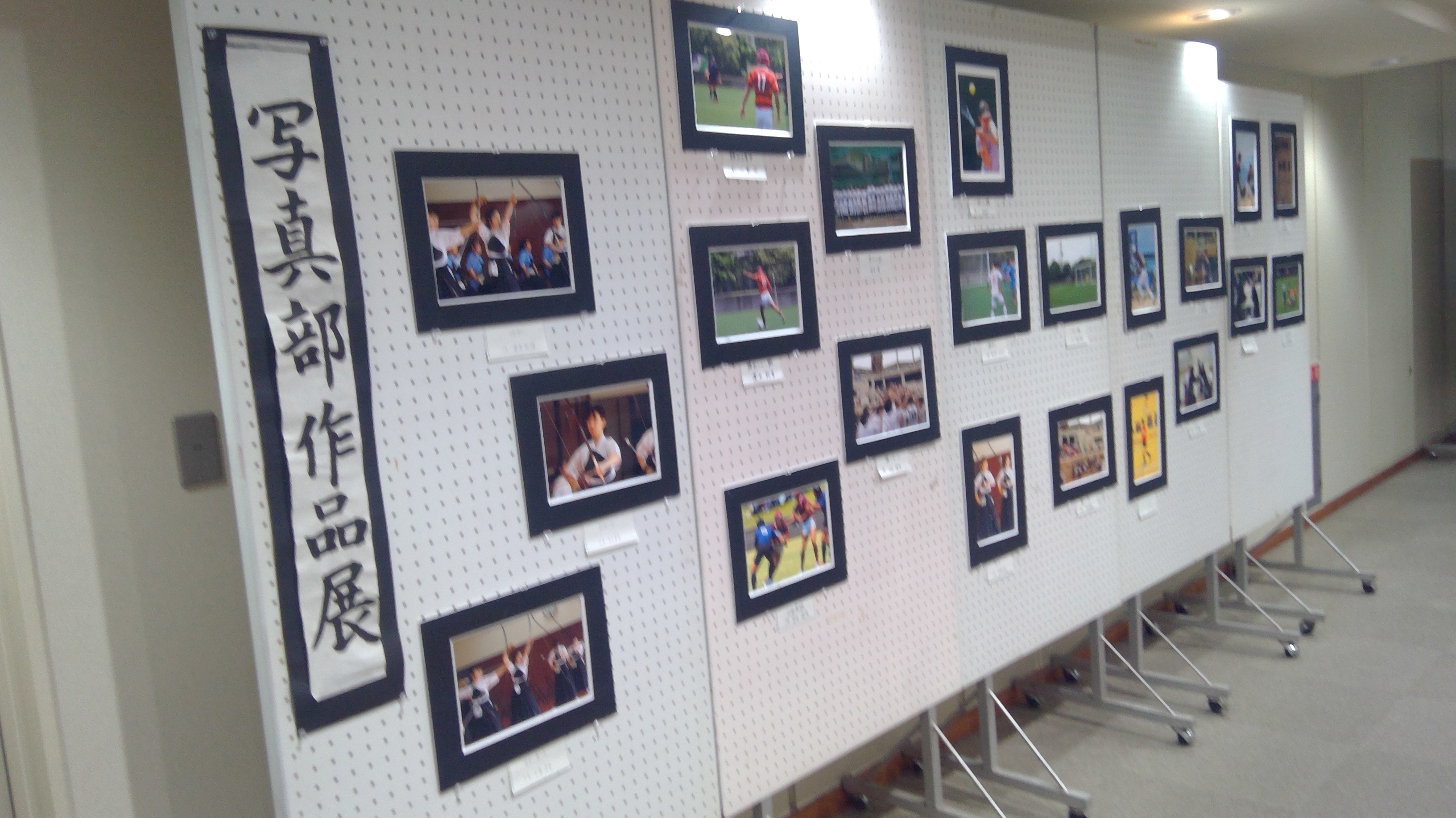 WIN_20250618_17_25_47_Pro