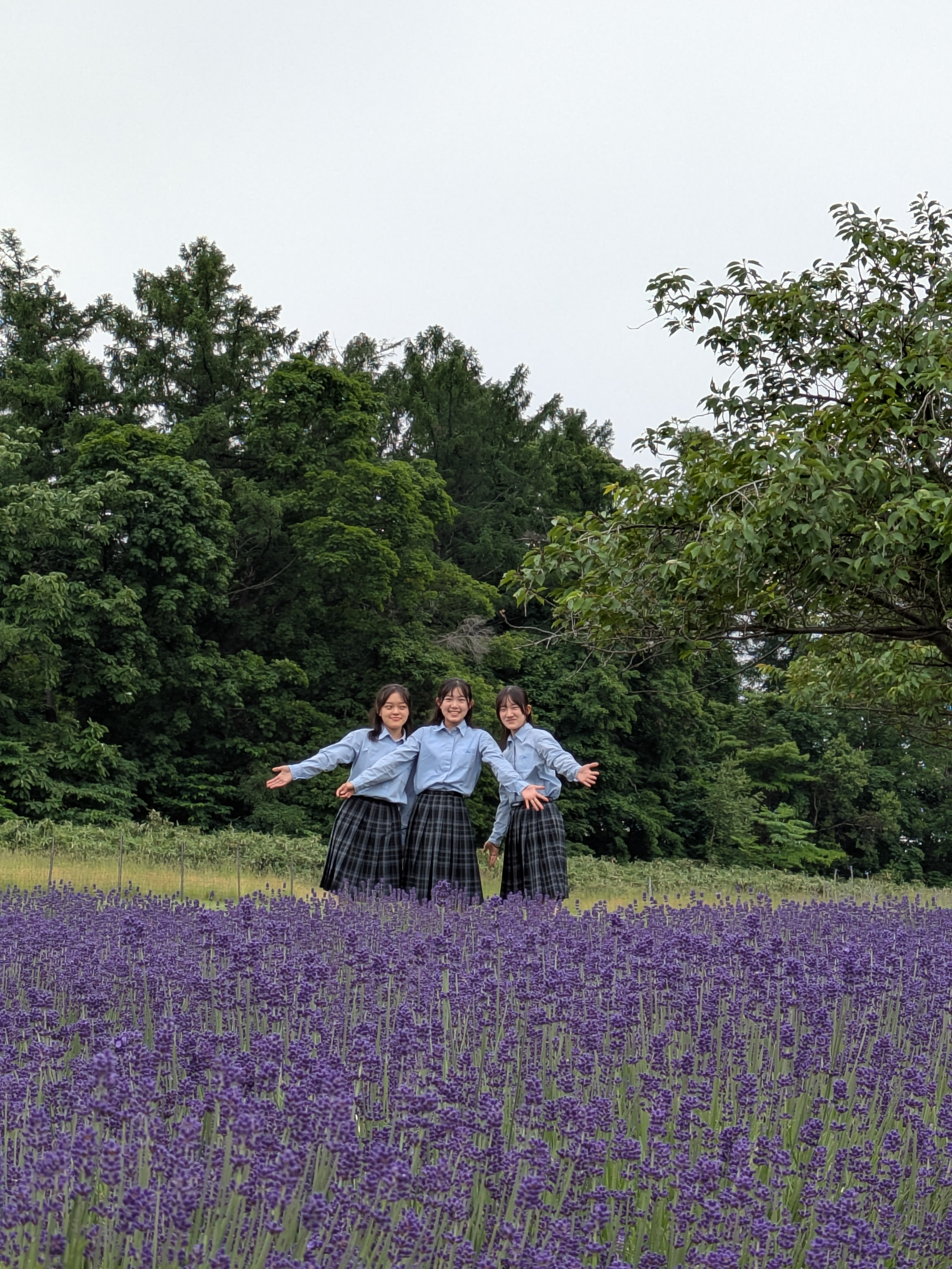 PXL_20250627_001003378