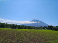 ANMP0045