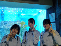 ANMP0066