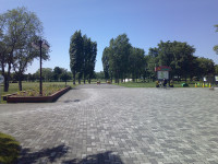 DSCF0102