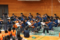 DSC05878